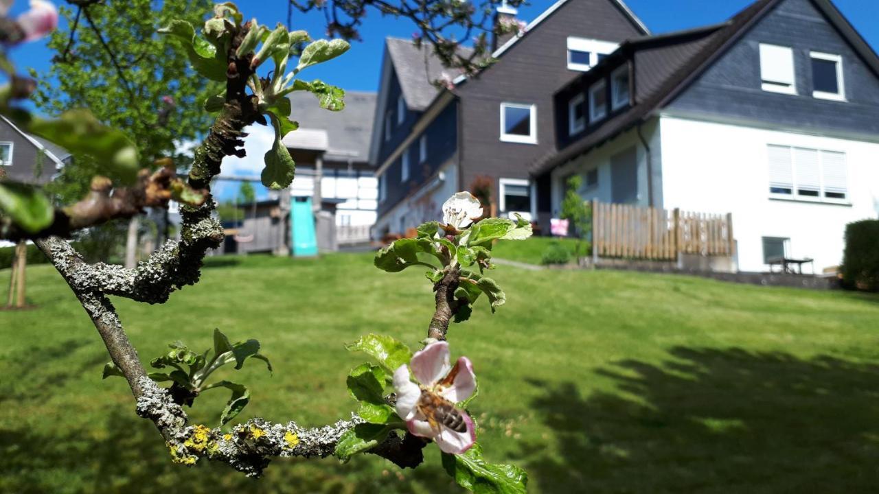 Ferienwohnung & Gaestezimmer Schrichten Schmallenberg Exterior foto